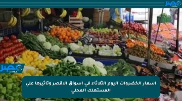 أسعار الخضروات اليوم الثلاثاء في أسواق الأقصر وتأثيرها على المستهلك المحلي